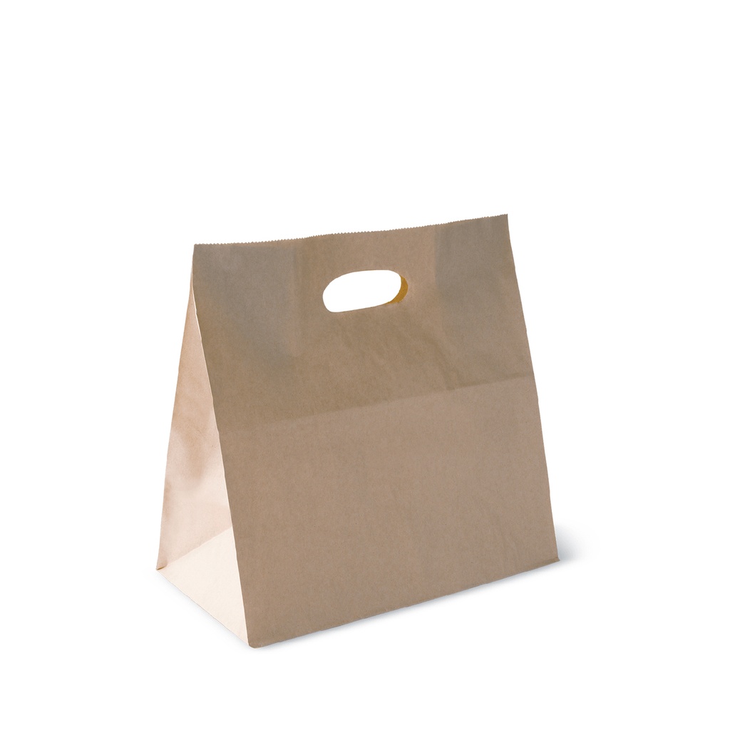 Bolsa Kraft con manilla PET 28x28x15cm. (1x500)