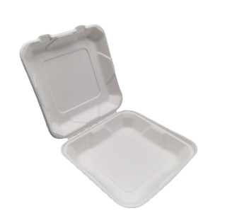 Cuadrado Bagasse 21x21x5cm (4x50)